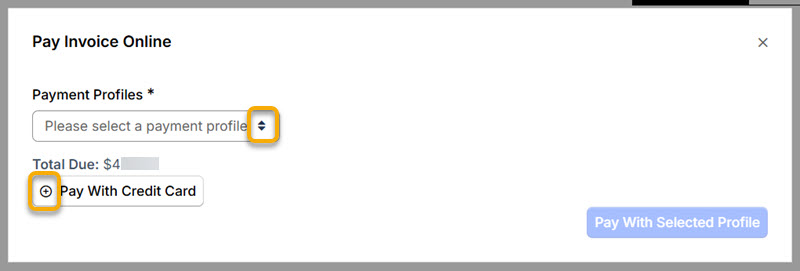 9_Pay Invoice Online2_Maxio.jpg