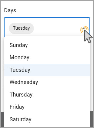 FlexPayments-Statement Automation Settings_Days of the Week.jpg